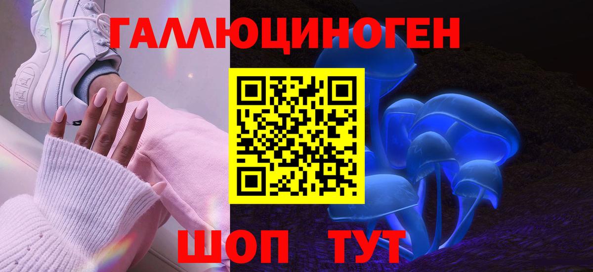 Псилоцибиновые грибы Psilocybe  Вход с VPN  Псилоцибиновые грибы мицелий  Энгельс 