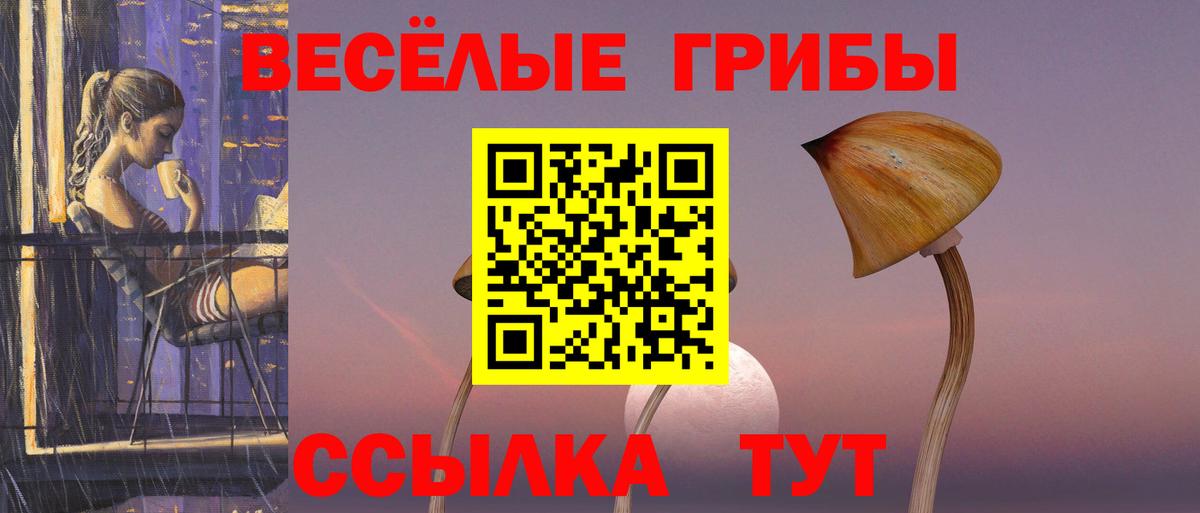 Псилоцибиновые грибы Psilocybine cubensis Энгельс